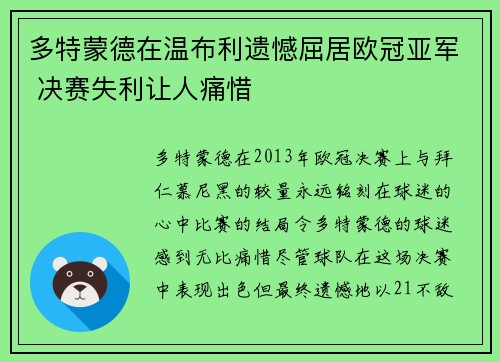 多特蒙德在温布利遗憾屈居欧冠亚军 决赛失利让人痛惜 多特蒙德在温布利遗憾屈居欧冠亚军 决赛失利让人痛惜