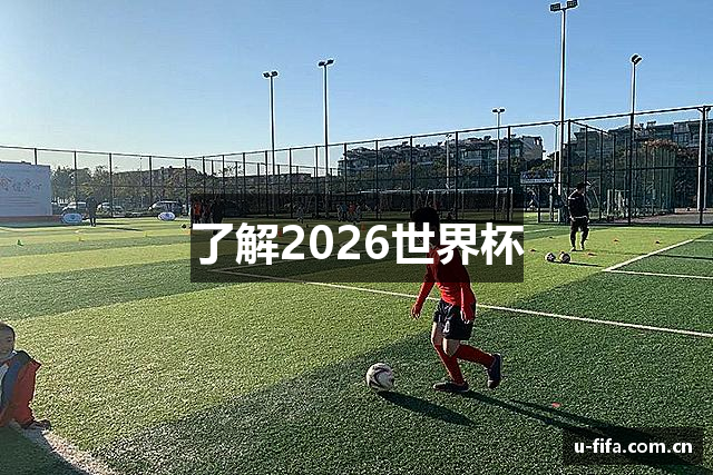 了解2026世界杯